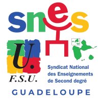Climat scolaire alarmant : le SNES-FSU tire la sonnette d'alarme